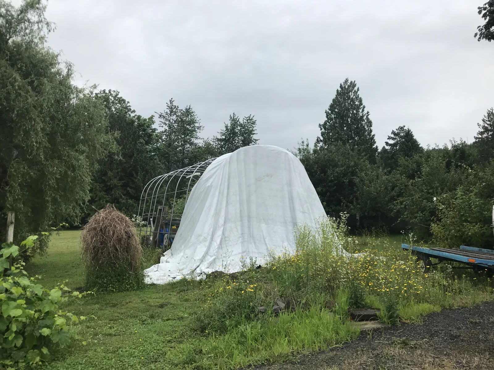 Photo 2019-07-05, 1 03 10 PM