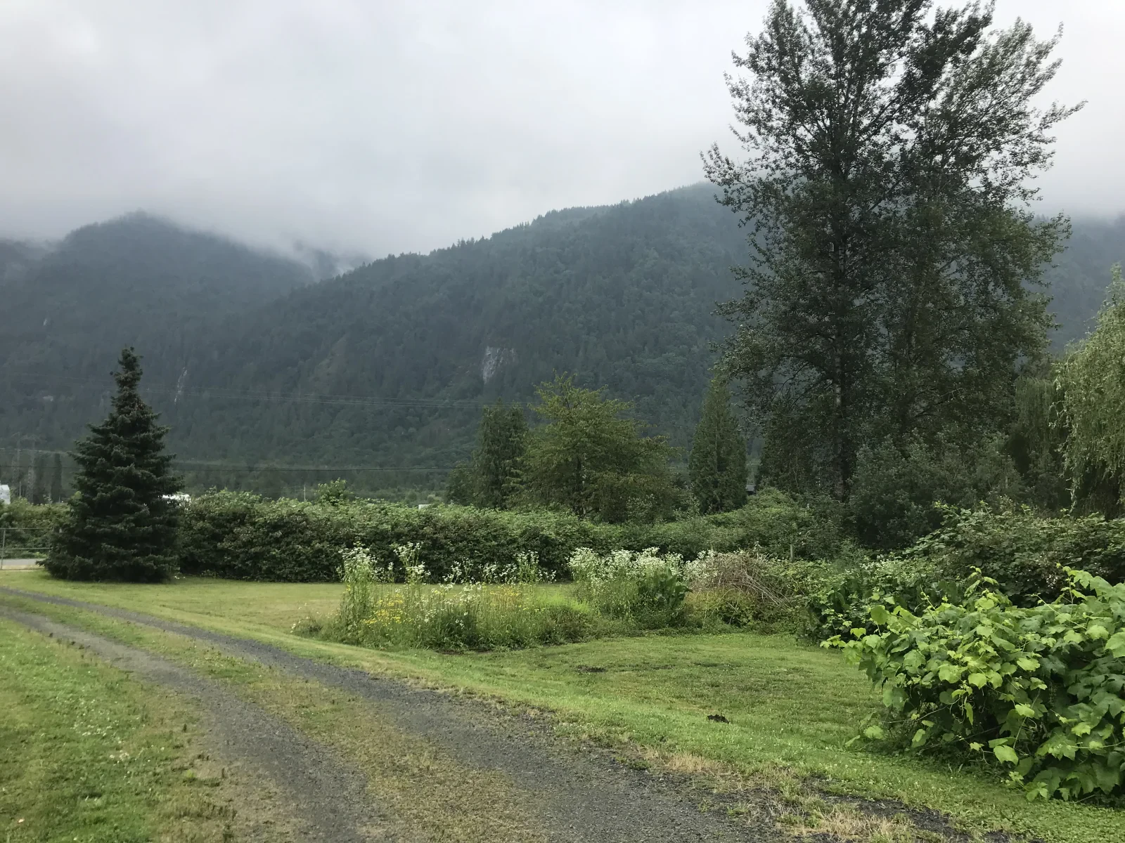 Photo 2019-07-05, 1 03 32 PM