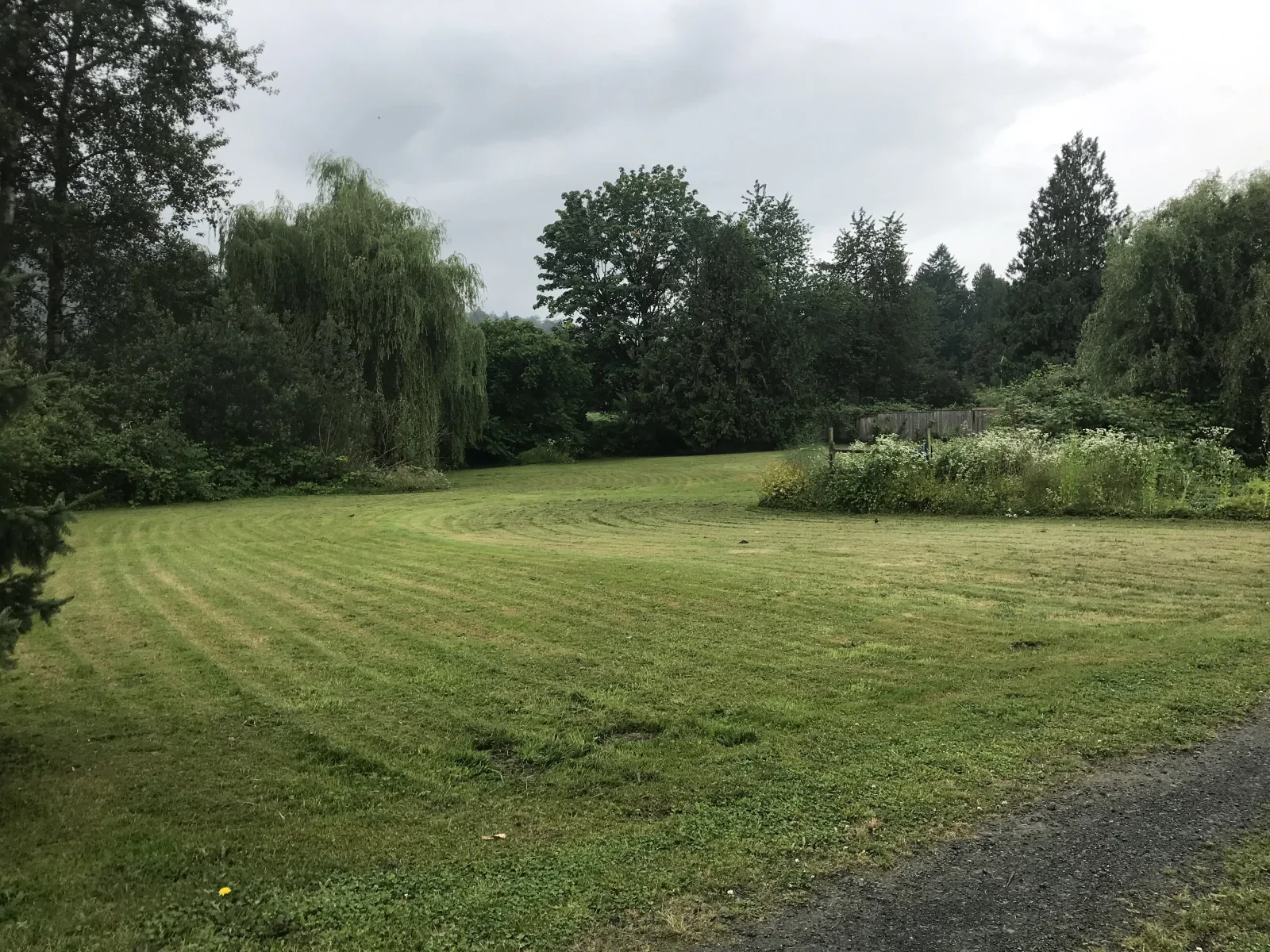 Photo 2019-07-05, 1 22 08 PM