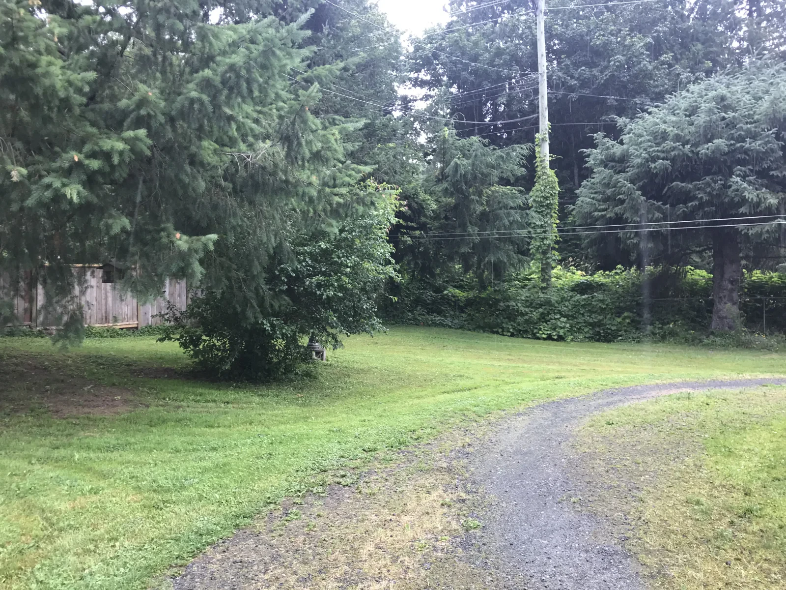 Photo 2019-07-05, 1 20 22 PM