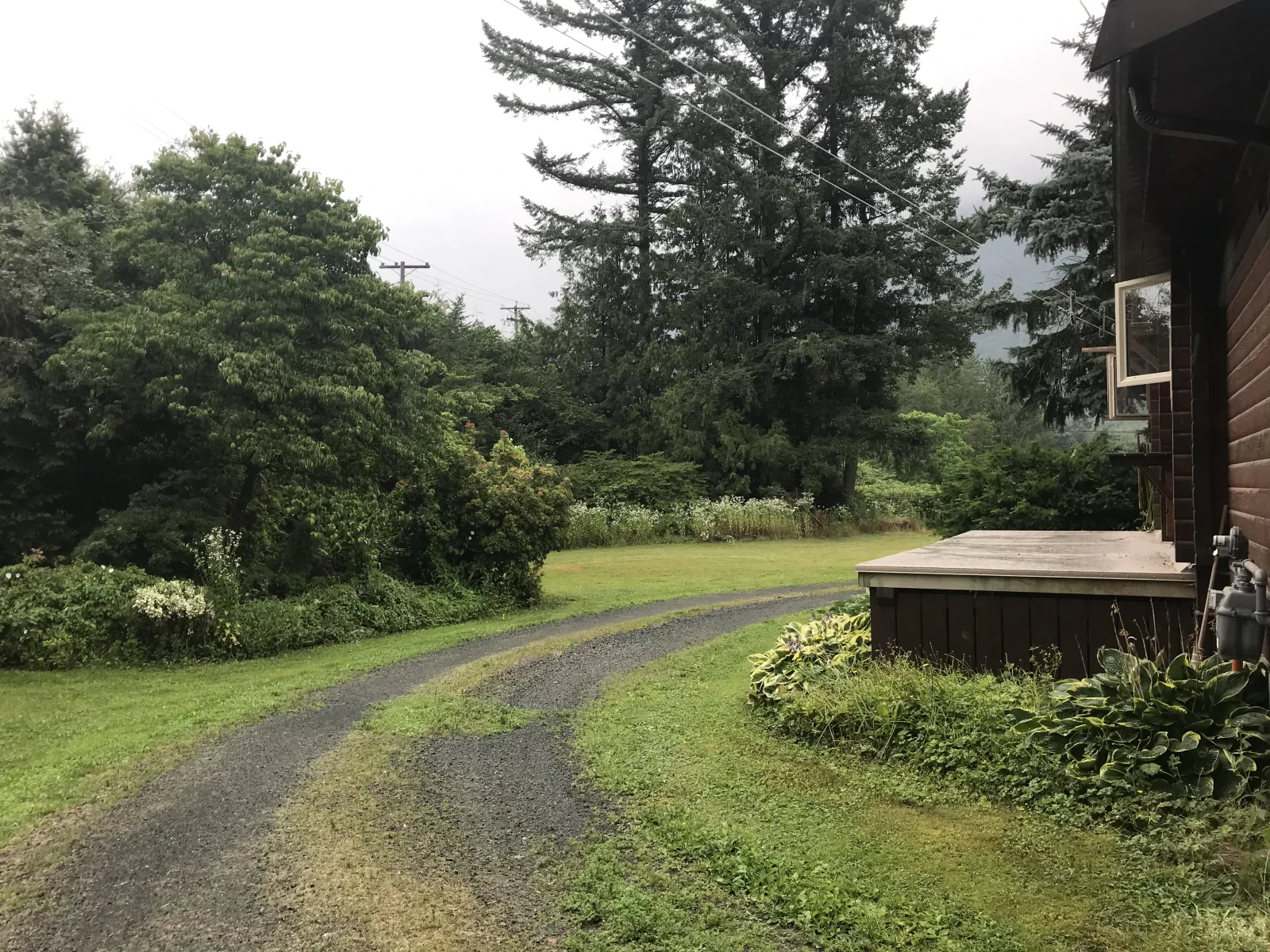 Photo 2019-07-05, 1 20 38 PM