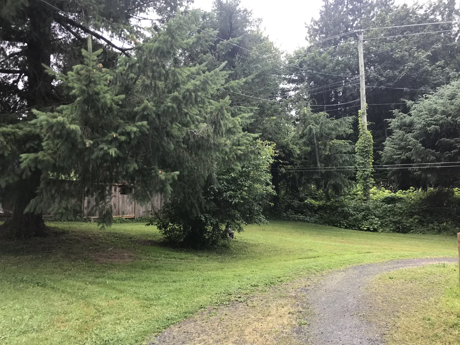 Photo 2019-07-05, 1 04 29 PM