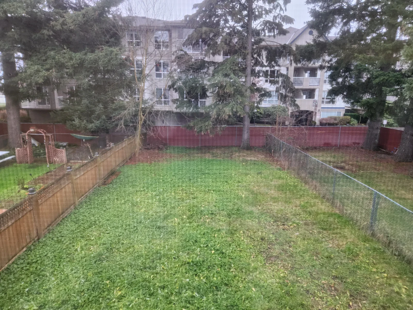 back yard