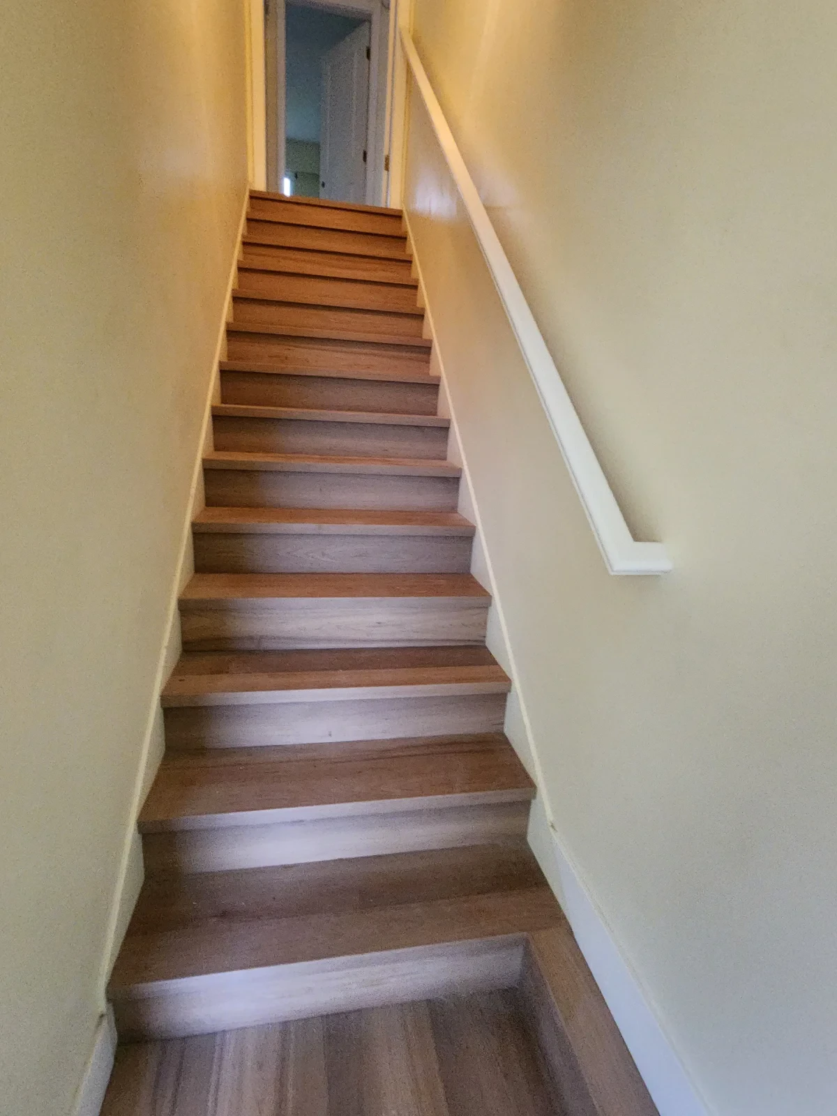 entrance stairs