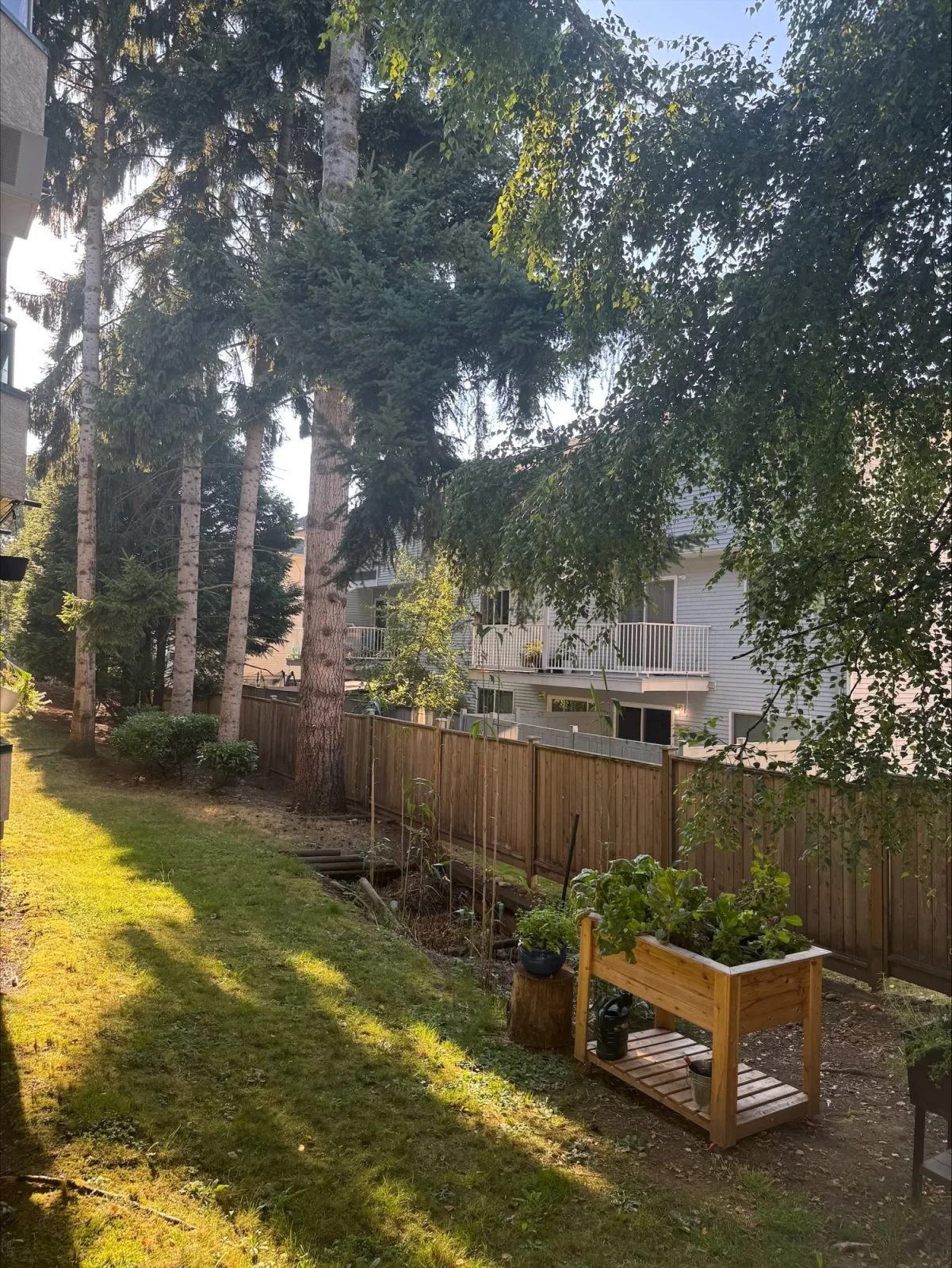 outside view2