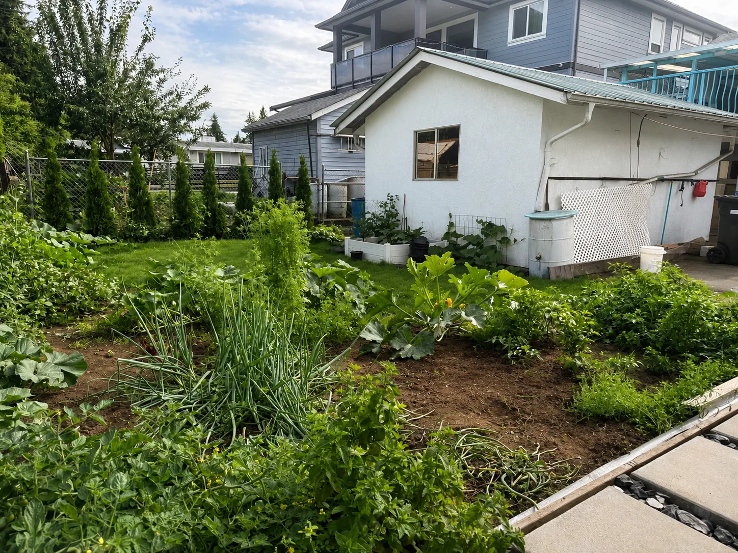 16-Garden
